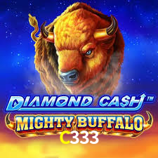 C333